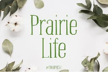 Prairie-Life font