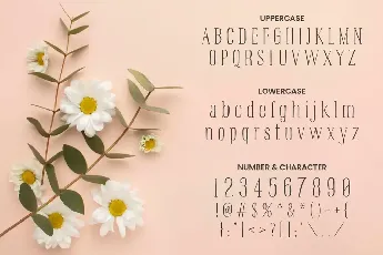 Prairie-Life font