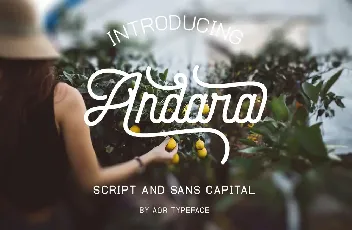 Andara Script font