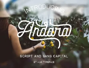 Andara Script font