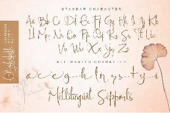 Ellyshabeth Demo font