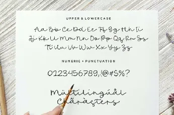 Austine Boutique font