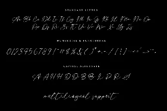 Anisther font