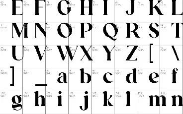 Funtonalie font