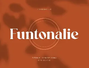 Funtonalie font