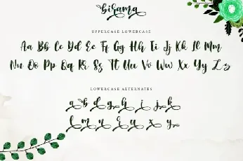 Birama Calligraphy Script font