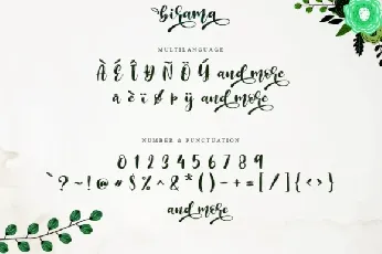 Birama Calligraphy Script font