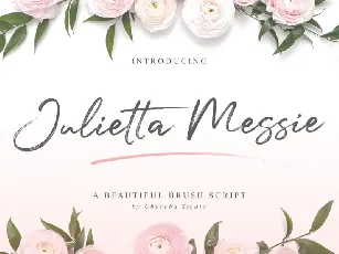 Julietta Messie Brush Script font