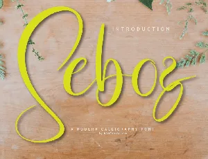 Seboz font