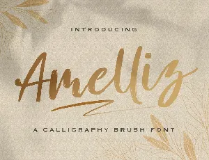 Amelliz font