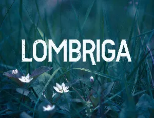 Vtks Lombriga font