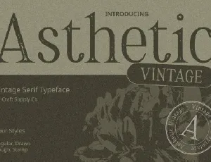 Asthetic Vintage font