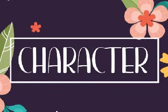 Character Display font