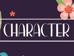 Character Display font