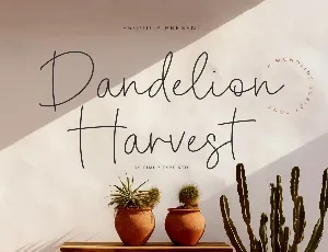 Dandelion Harvest font