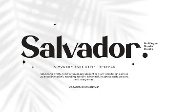 Salvador Typeface font