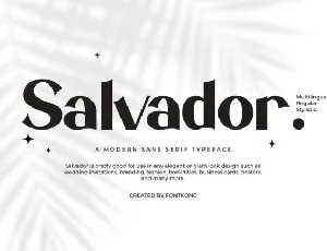 Salvador Typeface font