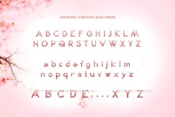 Sakura Kei font