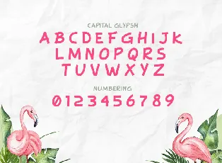 Flamingo font