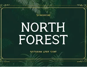 North Forest font