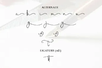 Renatta Signature font