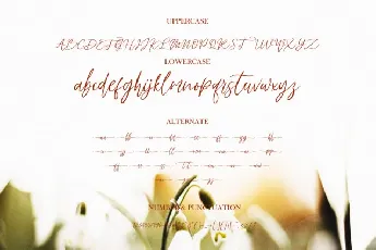 Fadhillah font