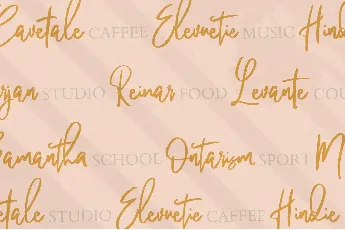 Pandertoos Signature font