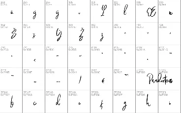 Pandertoos Signature font