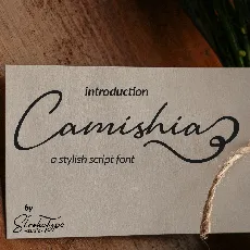 Camishia-free font