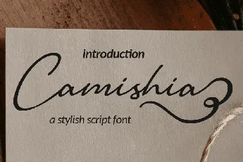 Camishia-free font