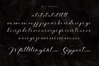 Verlisa - Personal use font