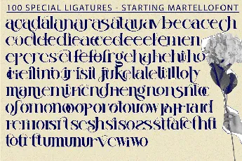 starting martello demo font