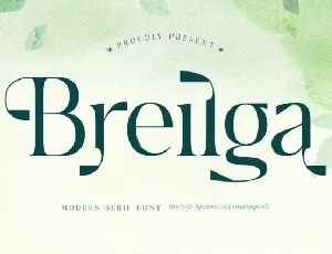 Breilga font