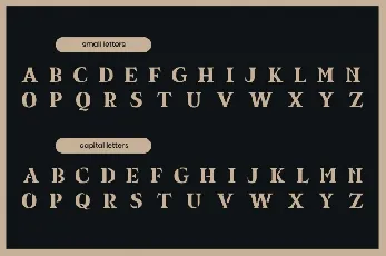 Equil Serif font