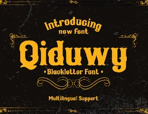 Qiduwy font