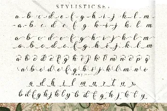 Ms Stusi font