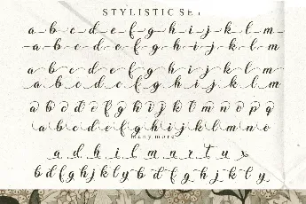 Ms Stusi font