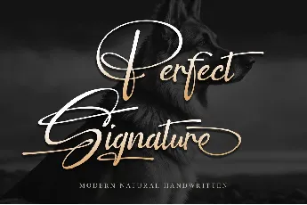 Perfect Signature font