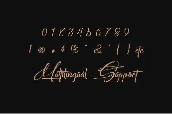 Perfect Signature font