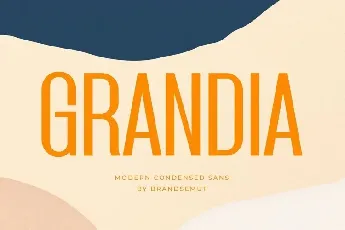 Grandia font