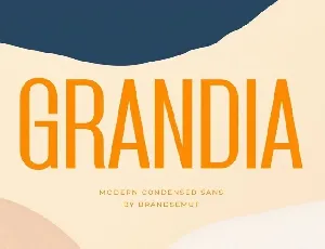 Grandia font