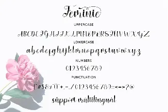 Feminie font