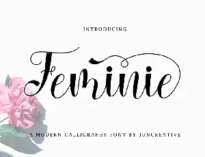 Feminie font