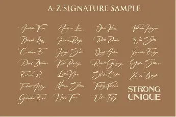 Signatrue Elegant Signature font