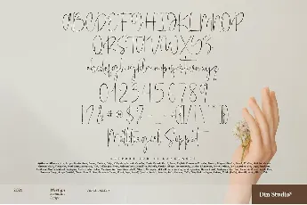 Wertign font