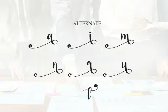 Selection Script Typeface font