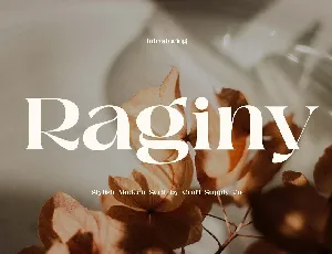 Raginy font