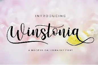 Winstonia Modern Calligraphy font