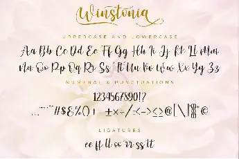 Winstonia Modern Calligraphy font