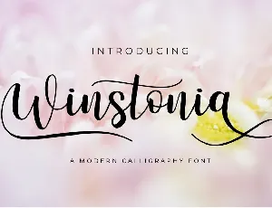 Winstonia Modern Calligraphy font